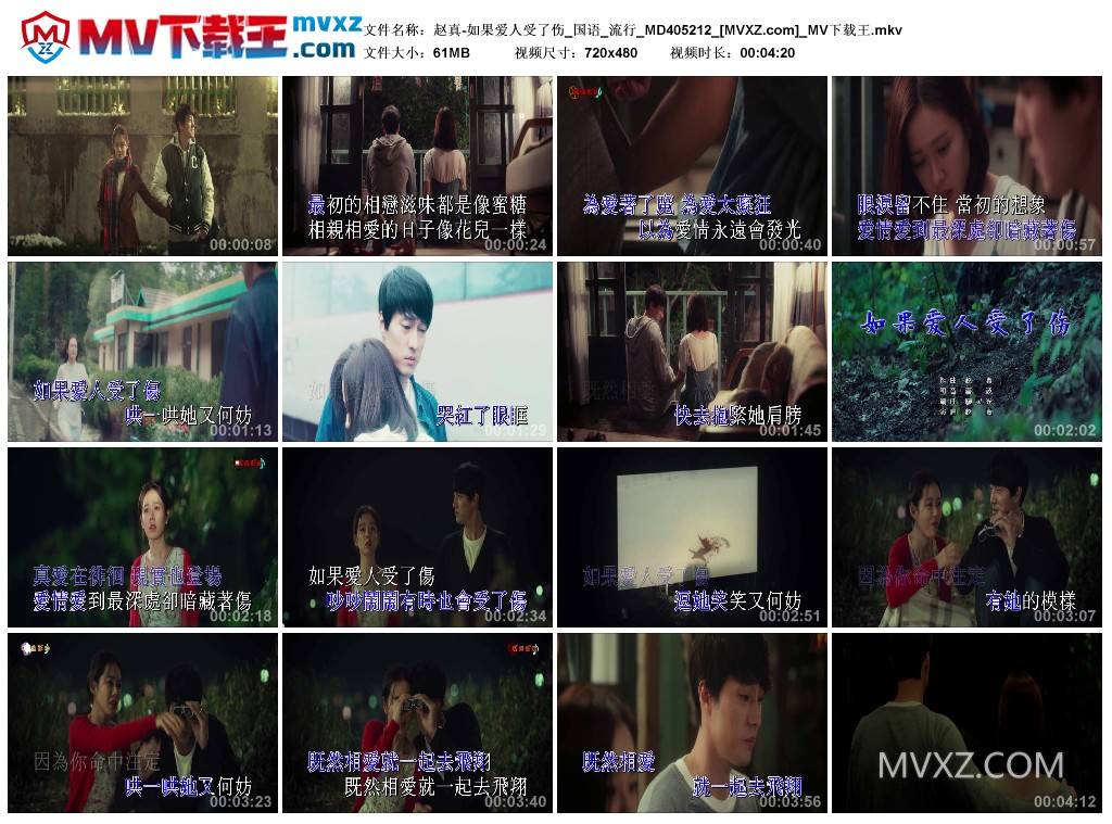 赵真-如果爱人受了伤_国语_流行_MD405212